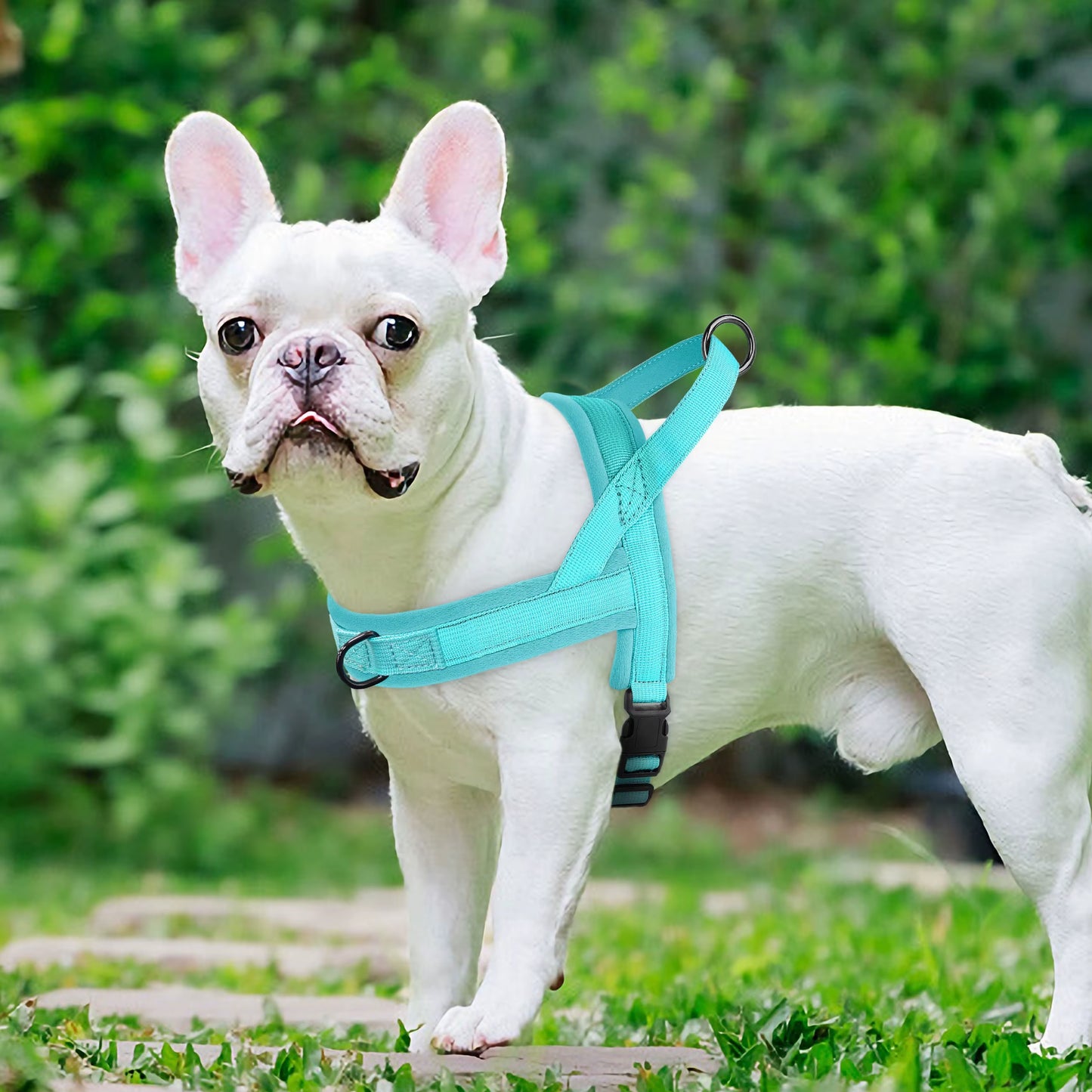 Soft No Pull Small Medium Dog Harness Nylon Pitbull Dog Puppy Harnesses Padded Pet Vest Adjustable for Small Dog Chihuahua Pug